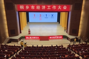 【菊鄉(xiāng)快評(píng)】經(jīng)濟(jì)工作大會(huì)上，桐鄉(xiāng)市委書記為何重點(diǎn)講巨石的電子布？